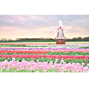 草莓视频污片免费看
